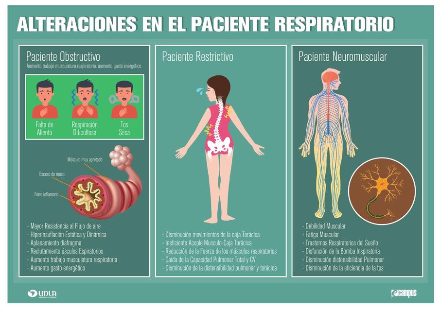 3 alteraciones obstructivas dipkine C14