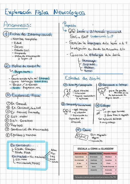 resumen neurologico- sensitivo