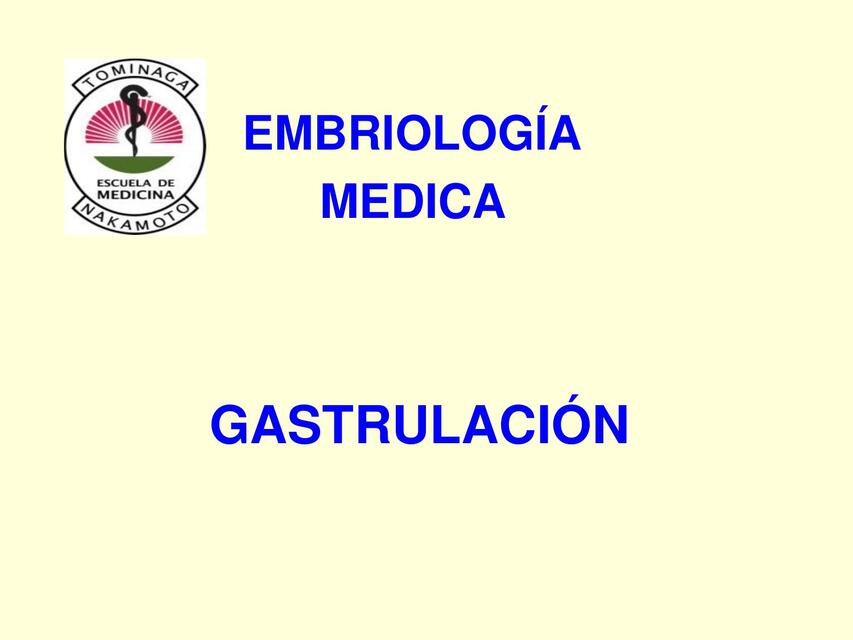 GASTRULACION Y NEURULACION 2