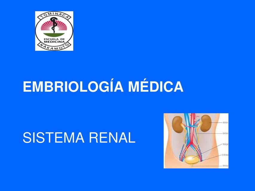 conferencia renal 2