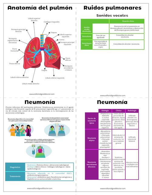 Flashcards Neumologia