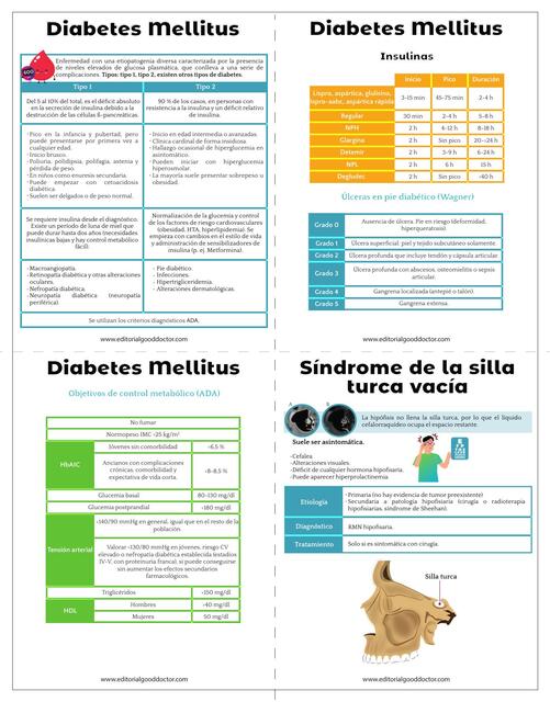 Flashcards Endocrinologia