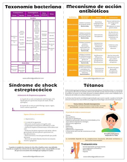 Flashcards Infectologia