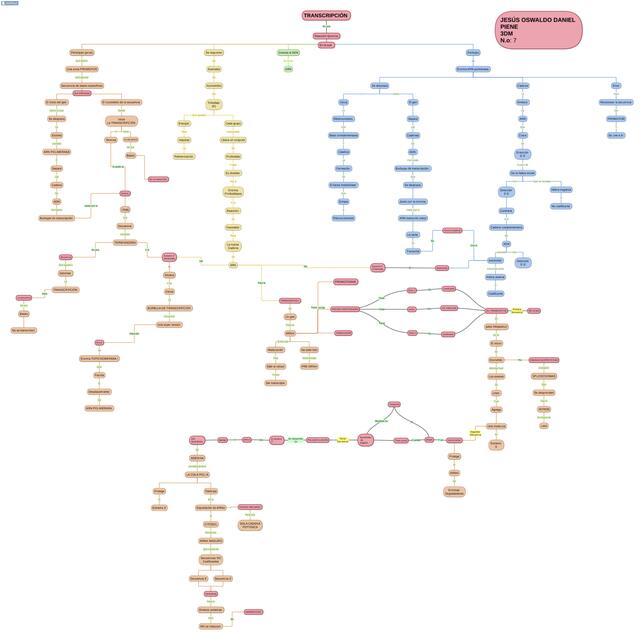 ARN transcripción