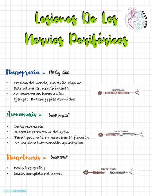 LESIONES DE LOS NERVIOS PERIFÉRICOS