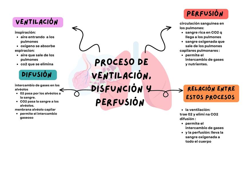 Mapa de ventilación perfusión