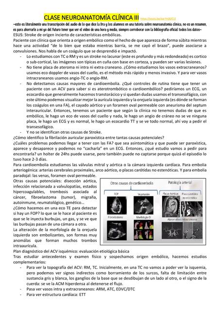 CLASE NEUROANATOMÍA CLÍNICA III