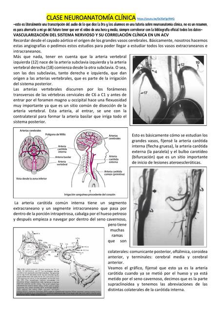 CLASE NEUROANATOMÍA CLÍNICA