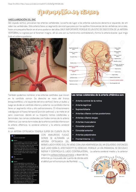 Neuroanatomía clínica