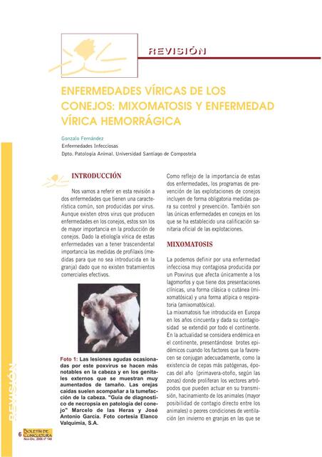 Enfermedades Viricas De Los Conejos