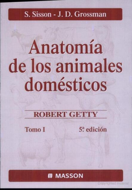 Anatomia Veterinaria Sisson y Grossman