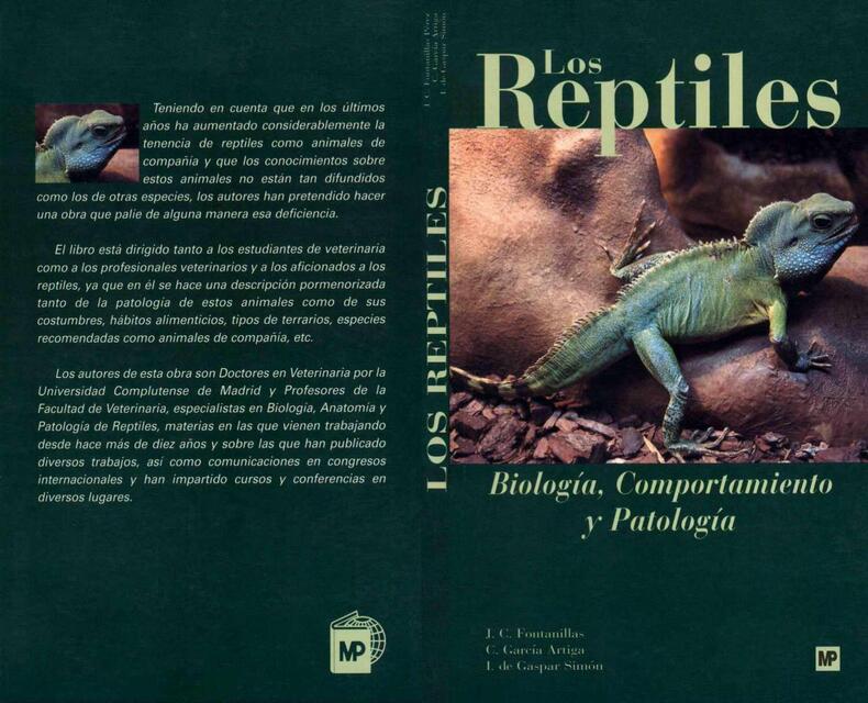 Animales Los Reptiles