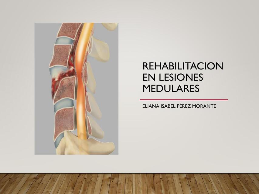 rehabilitacion en lesiones medulares ii