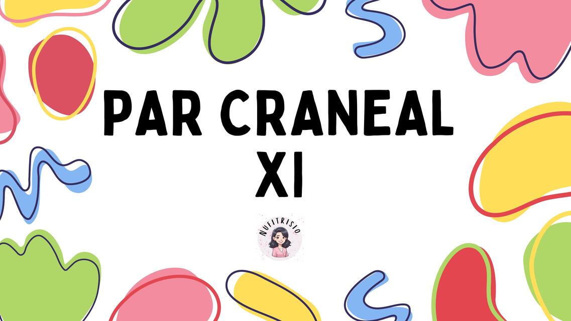 Par craneal XI