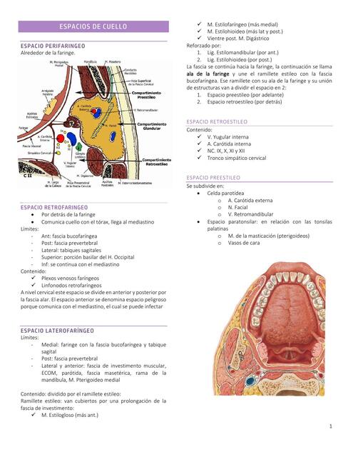 Espacios de cuello