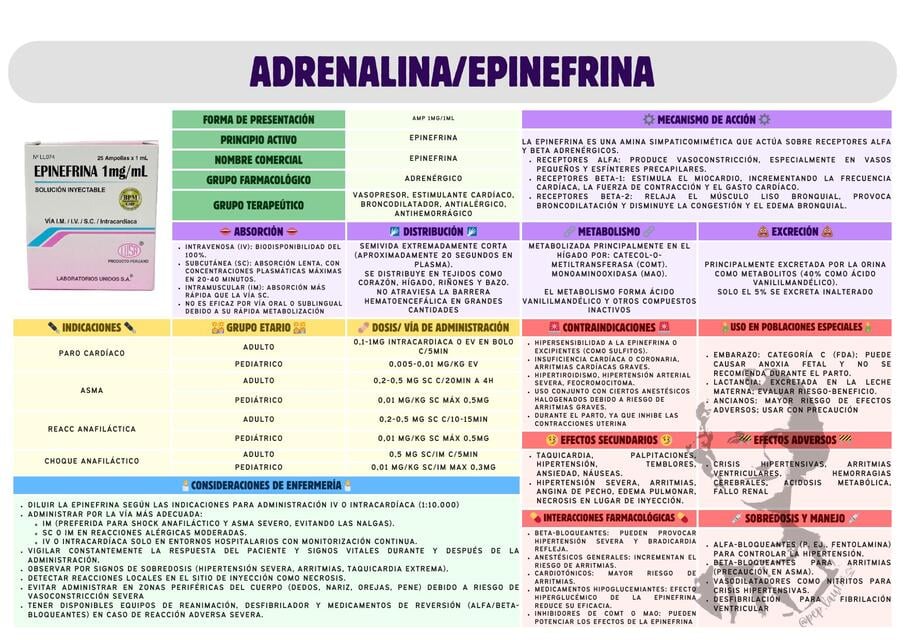 ADRENALINA / EPINEFRINA | Lau 🌼 | uDocz