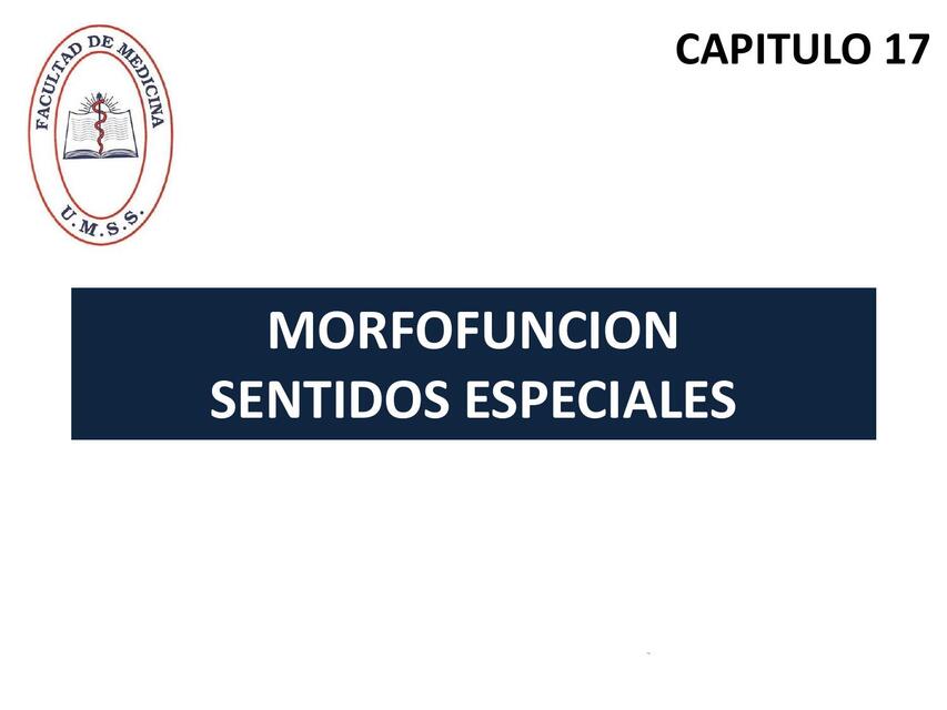 CAPITULO 17 SENTIDOS ESPECIALES-PROPE-UMSS- MORFOFUNCION