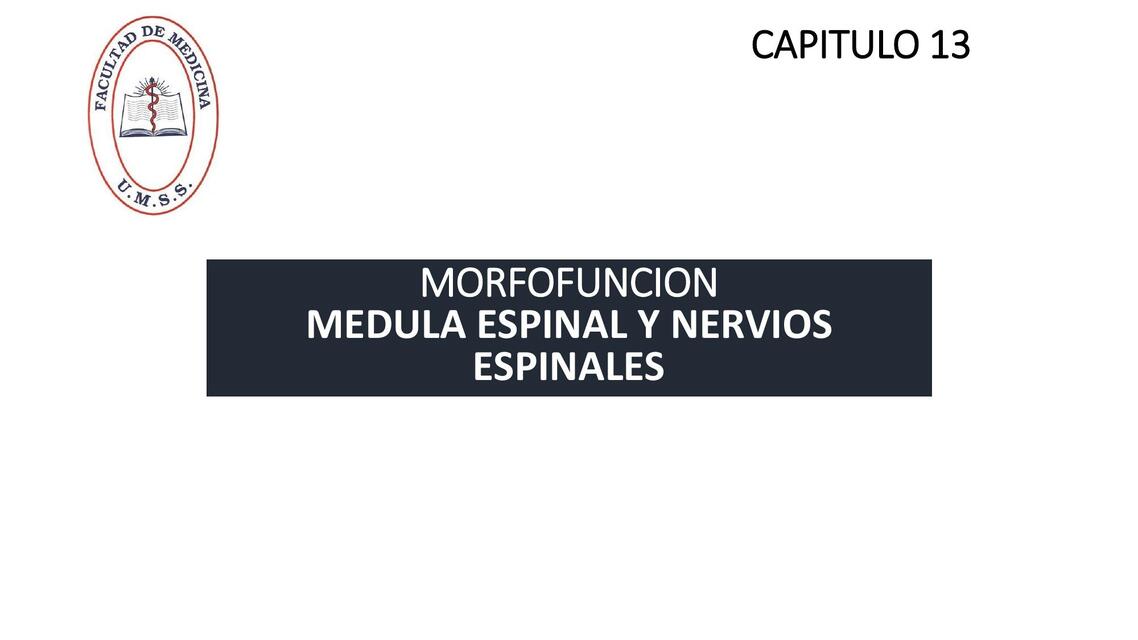 CAPITULO 13 MEDULA ESPINAL Y NERVIOS ESPINALESPROPE-UMSS- MORFOFUNCION