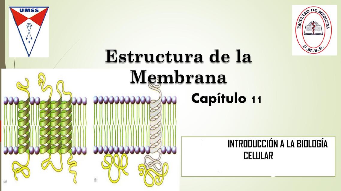 CAPITULO 11 ESTRUCTURA DE LA MEMBRANA-PROPE-UMSS- BIOLOGIA CELULAR