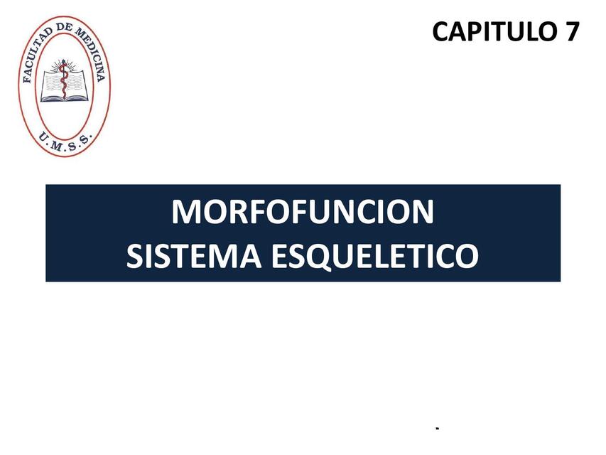 CAPITULO 7 SISTEMA ESQUELÉTICO AXIAL-PROPE-UMSS- MORFOFUNCION