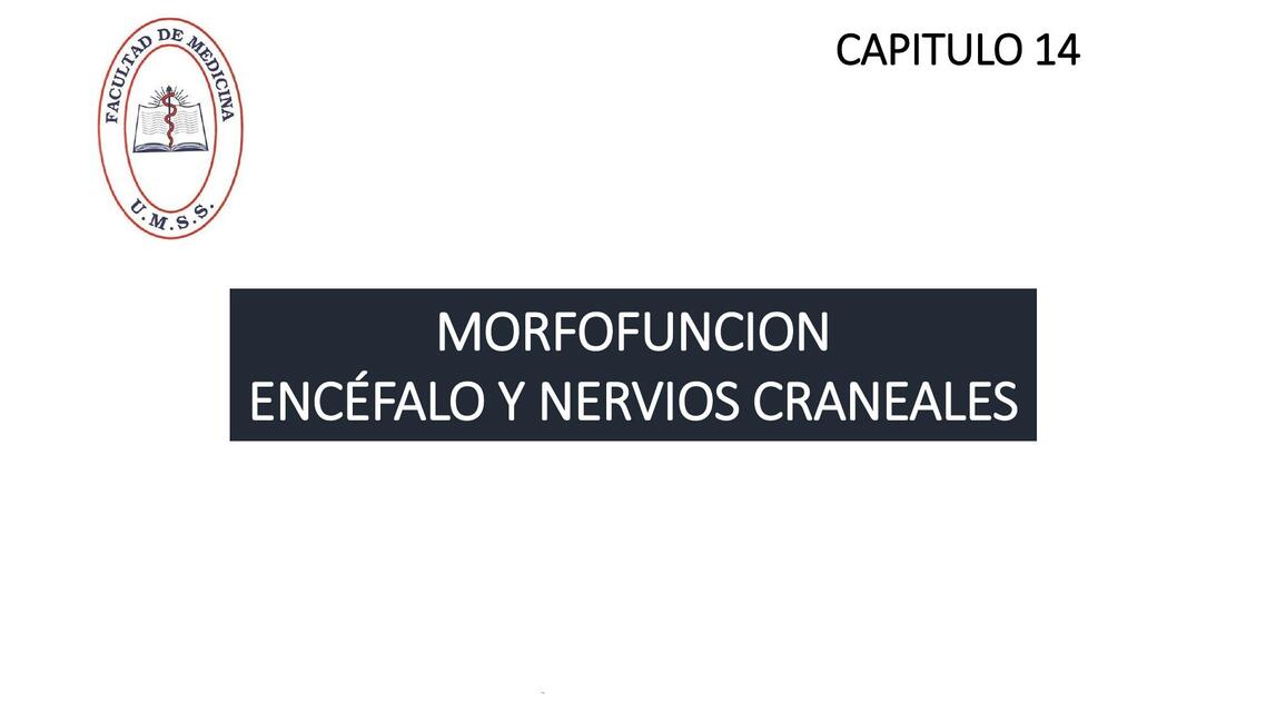 CAPITULO 14 ENCEFALO Y NERVIOS CRANEALES-PROPE-UMSS- MORFOFUNCION