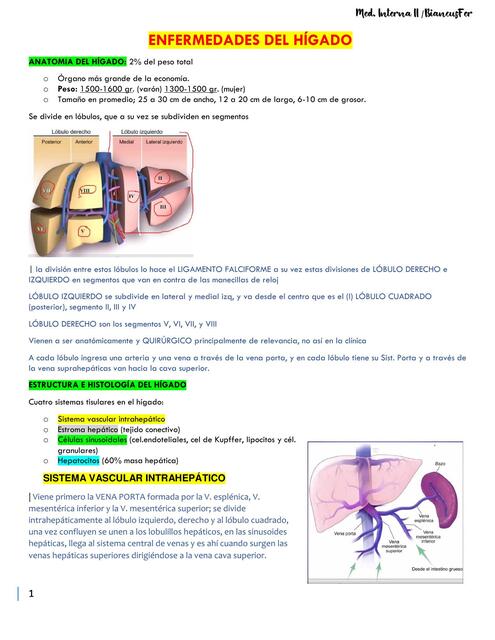 HEPATOPATÍAS (ENF. DEL HÍGADO) - GASTROENTEROLOGIA