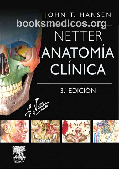 2 Netter Anatomia Clinica 3a Edicion