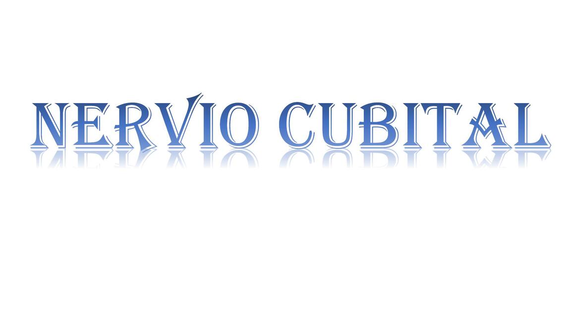 NERVIO CUBITAL