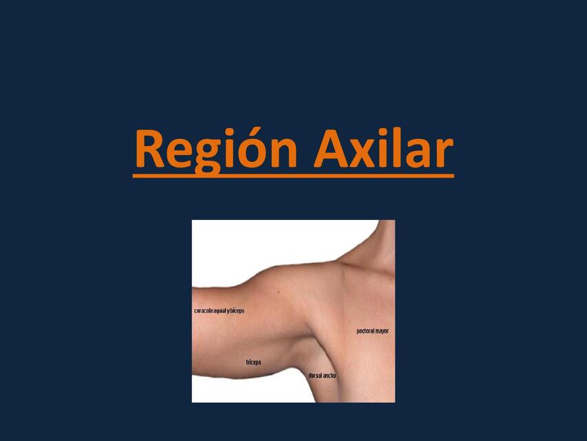 region axilar