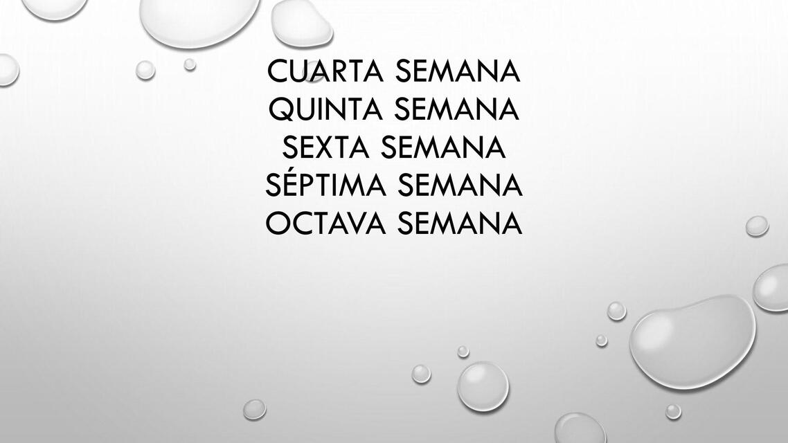 TEMA 3 CUARTA A OCTAVA SEMANA