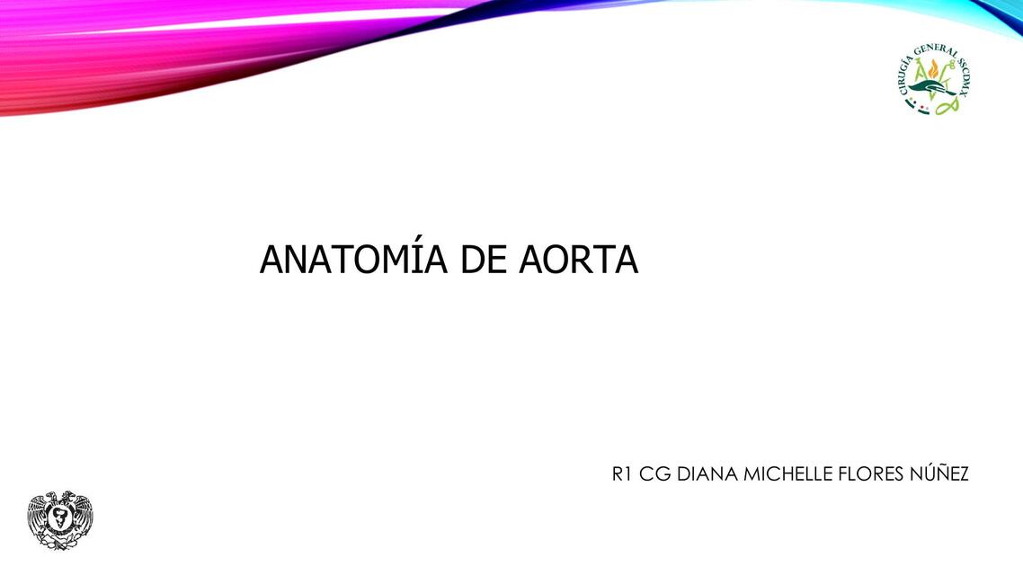 AORTA ABDOMINAL