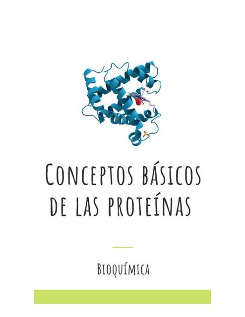 Conceptos Básicos de las Proteínas