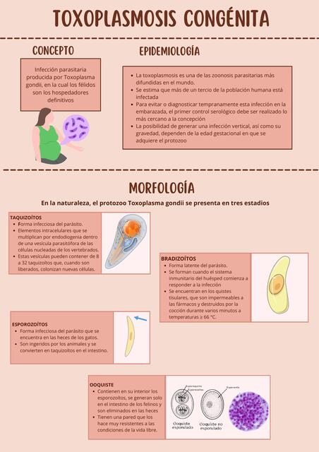 TOXOPLASMOSIS