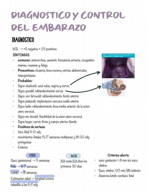 Diagnostico y control del embarazo