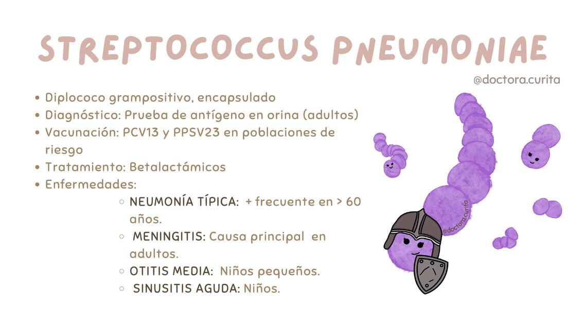 Streptococcus pneumoniae