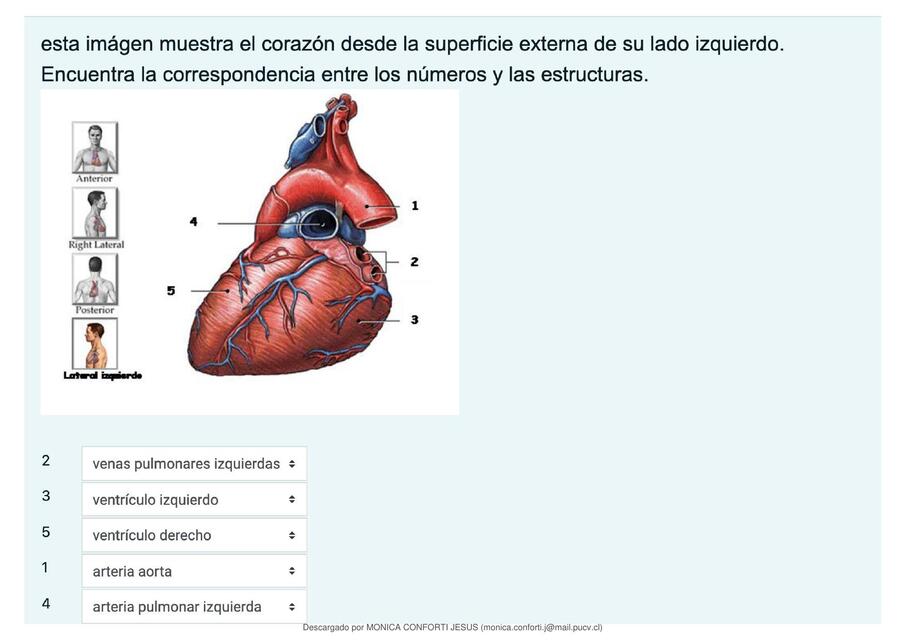 correccion anatomia