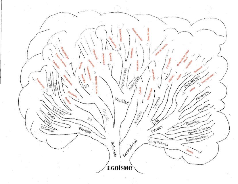 ejercicio arbol del egoismo