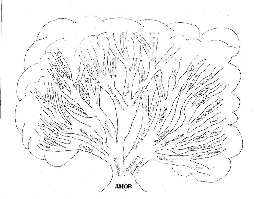 ejercicio árbol del amor