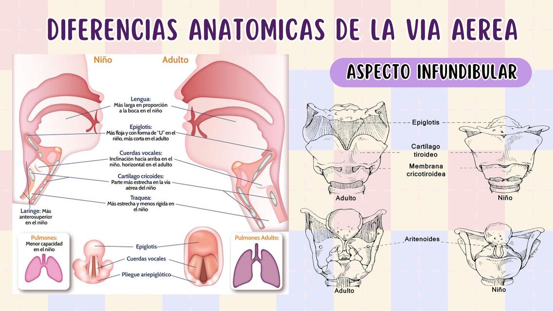 Diferencias anatomicas de la via aerea