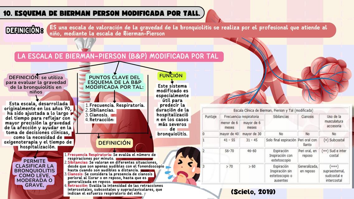 ESQUEMA DE BIERMAN PERSON MODIFICADA POR TALL