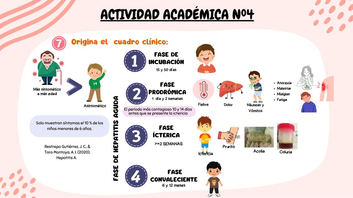 fisiopatología de la hepatitis A parte 2