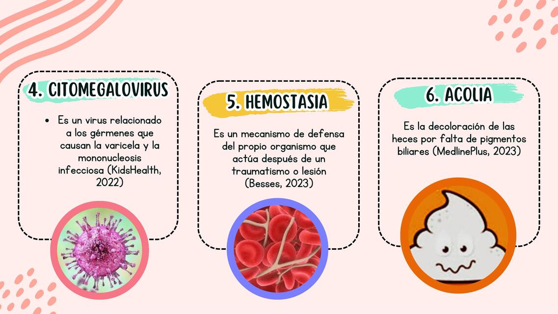 Glosario de Hepatitis A parte 2