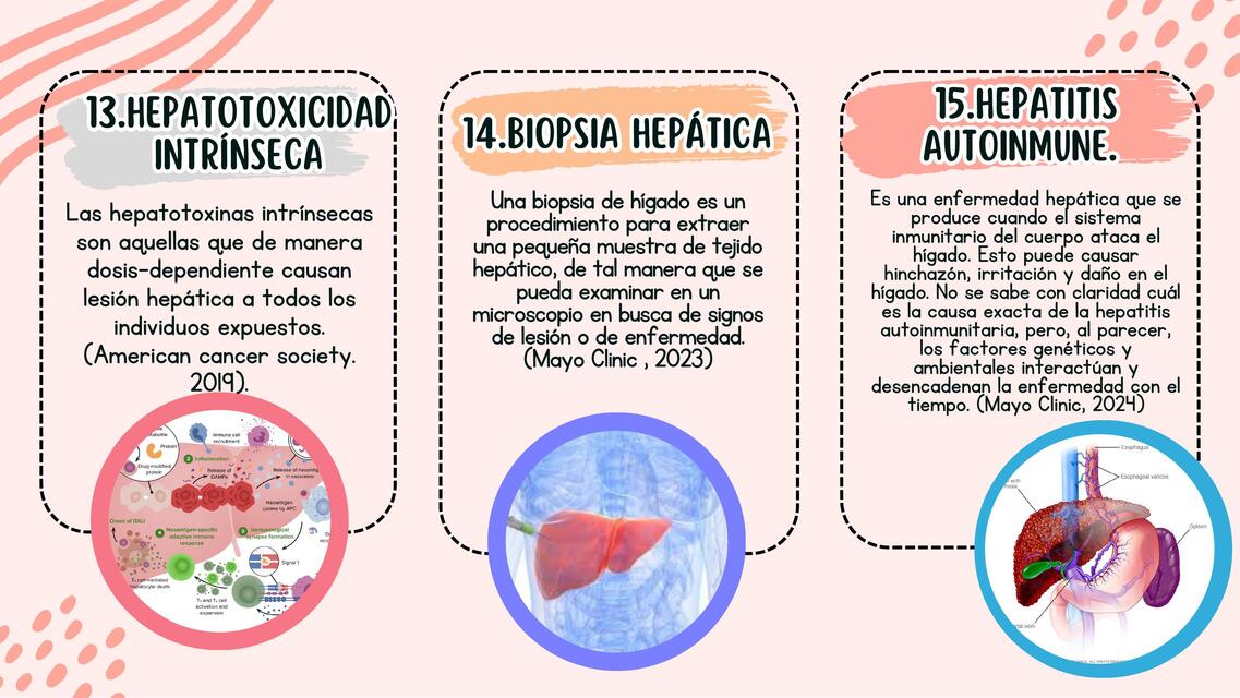 Glosario de Hepatitis A parte 5