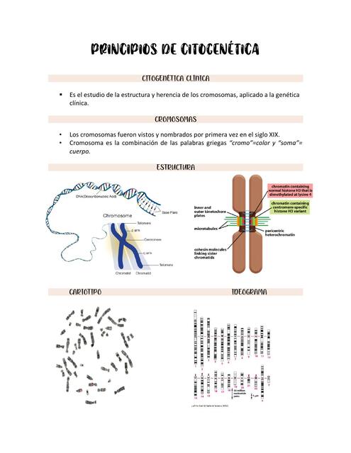 PRINCIPIOS DE CITOGENÉTICA