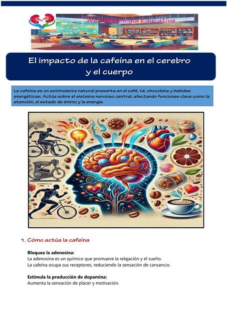 La cafeína es un estimulante natural presente en e