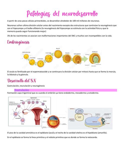 Patologias del neurodesarrollo