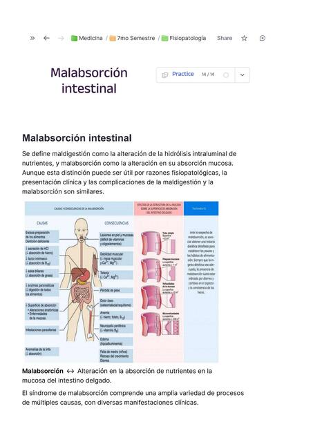 Fisiopatología de la Malabsorcion intestinal