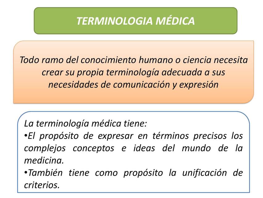 terminologia medica1