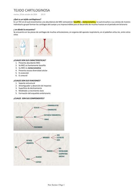 TEJIDO CARTILOGINOSA