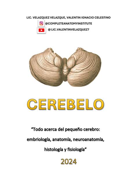 Cerebelo